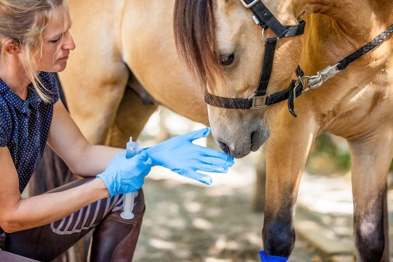 Implement Proper Deworming Protocols
