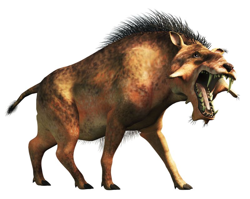 Why They Eventually Vanished From Earth