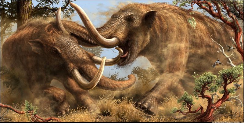 Extinct Species: Mammoths And Mastodons
