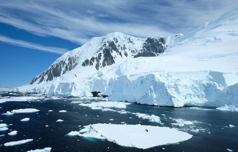 Antarctic Connection