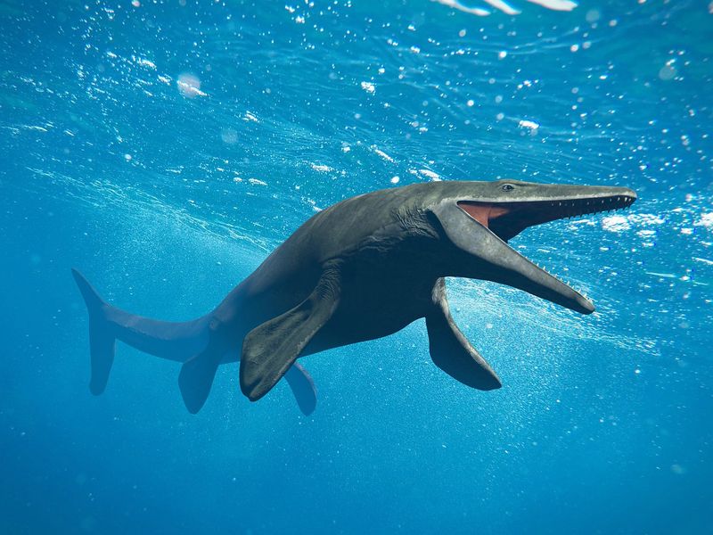 Creatures Like The Mosasaur And Dryptosaurus Once Lived Here