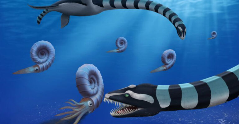 Fossils Discovered In North America Reveal A New Sea Monster Species