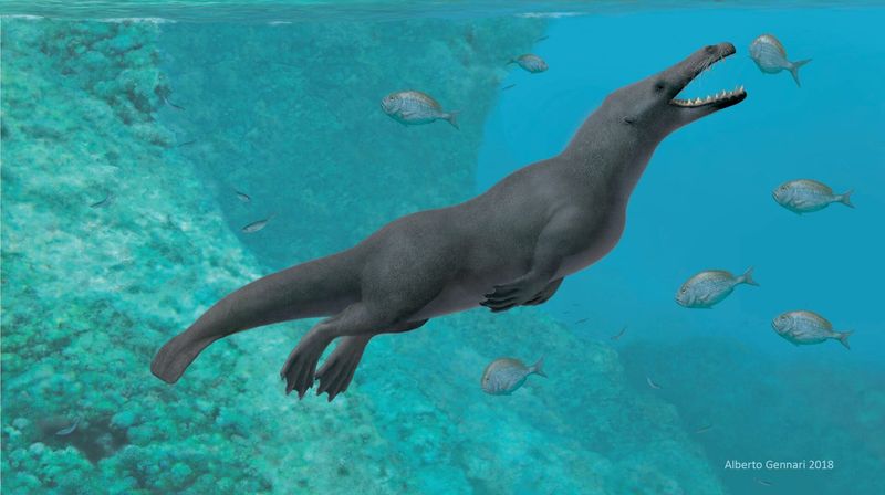 Estimated To Be Around 42.6 Million Years Old