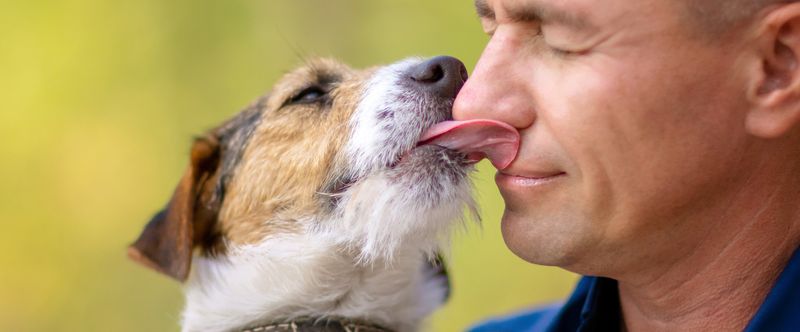 Licking Your Face Or Hands
