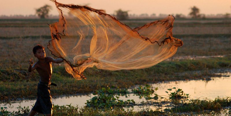 Lives In Ephemeral Habitats Threatened By Human Activity