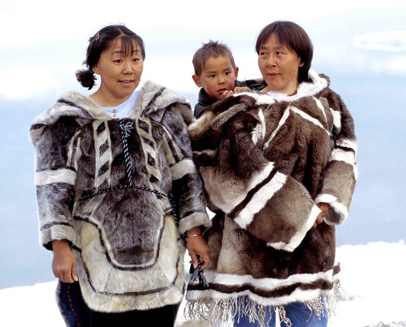 How An Extinct Dog Helped Indigenous Communities Stay Warm