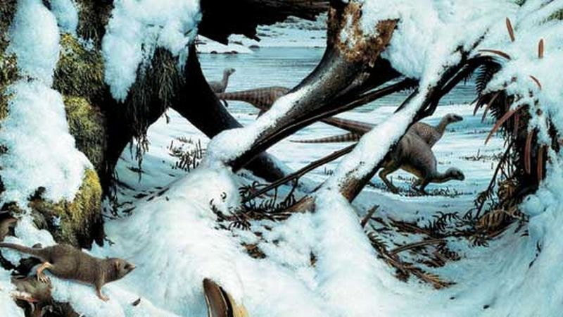 Polar Dinosaur Adaptations
