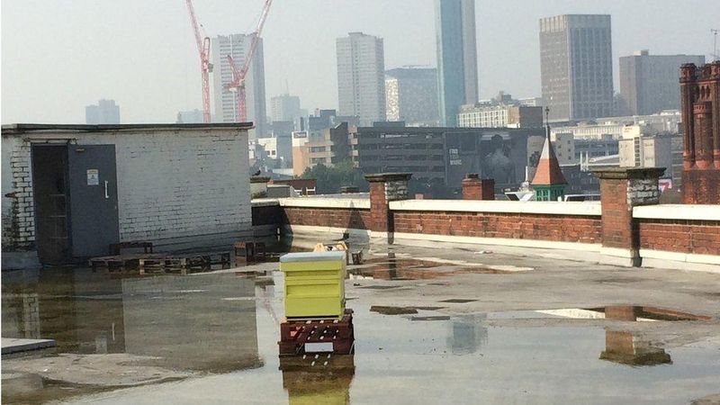 Urban Areas Face Unique Challenges