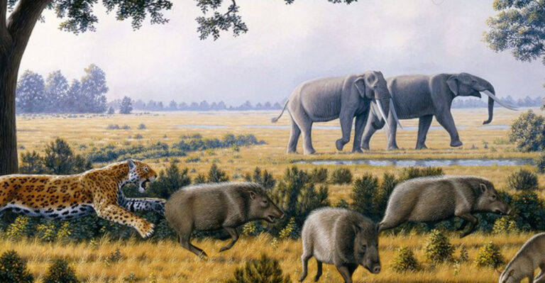 How Florida’s Fossils Expose A Different Ancient World