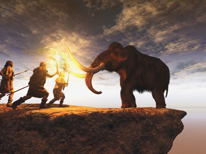 Implications For Understanding Early Human Hunting Techniques