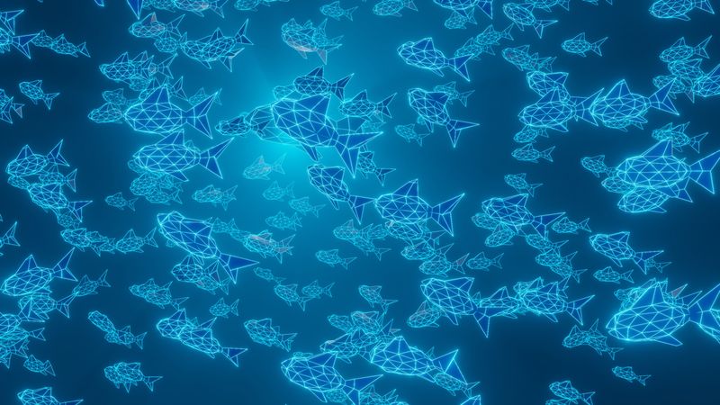 The Integration Of FathomNet In Ocean Research And Data Analysis