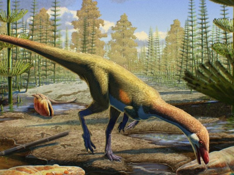The Discovery Of Ahvaytum Bahndooiveche In Wyoming