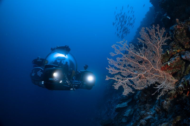What The Ocean Census Aims To Achieve In The Next Decade