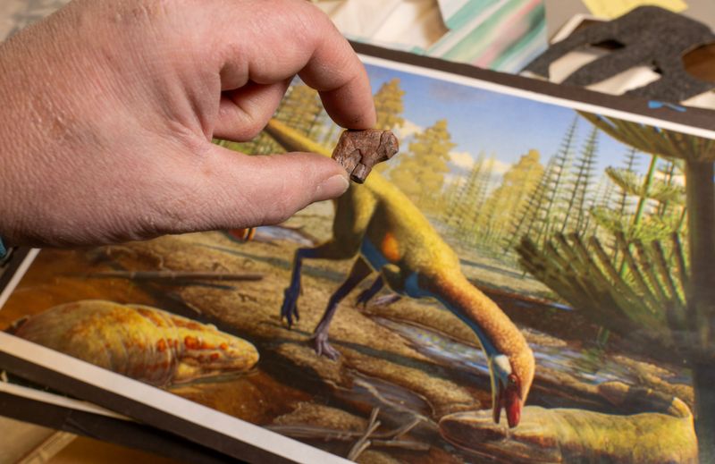 What The Ahvaytum Bahndooiveche Fossil Reveals About Early Dinosaurs