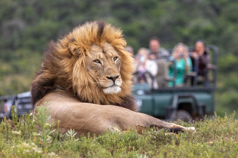 Trophy Hunting Still Happens