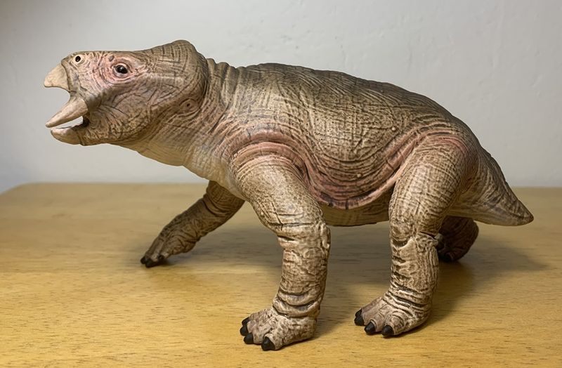 Placerias – The Rhino-Like Beast With Tusks