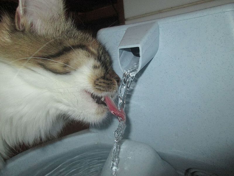 Syringe Hydration For Emergencies
