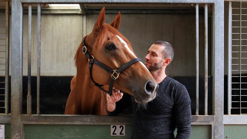 Thoroughbreds