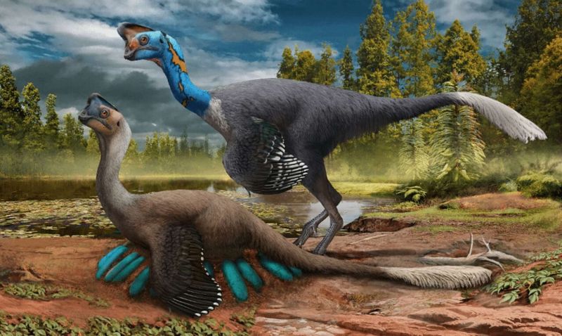 Rewriting The Myth About Oviraptor Behavior