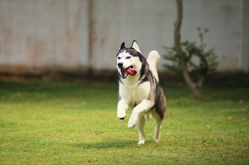 Skipping Regular Exercise