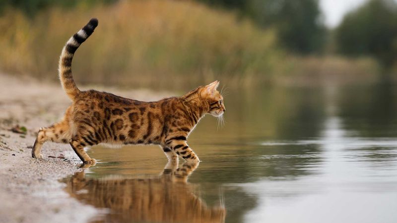 Curious About Water