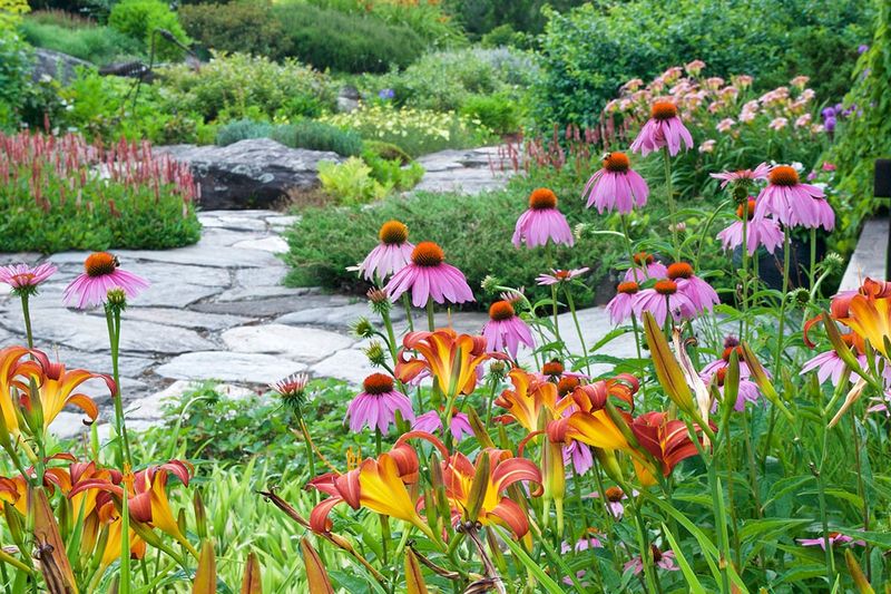 Better Alternatives Exist For Helping Bees