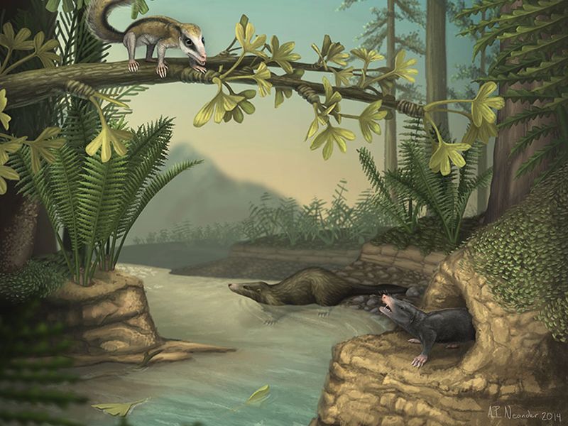 Ecological Niches They Never Filled