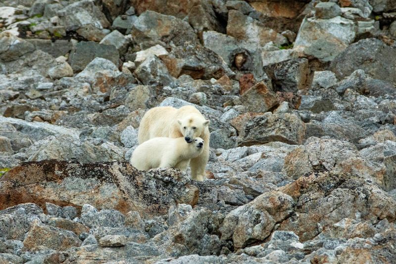 Climate Change Adds Another Layer Of Risk