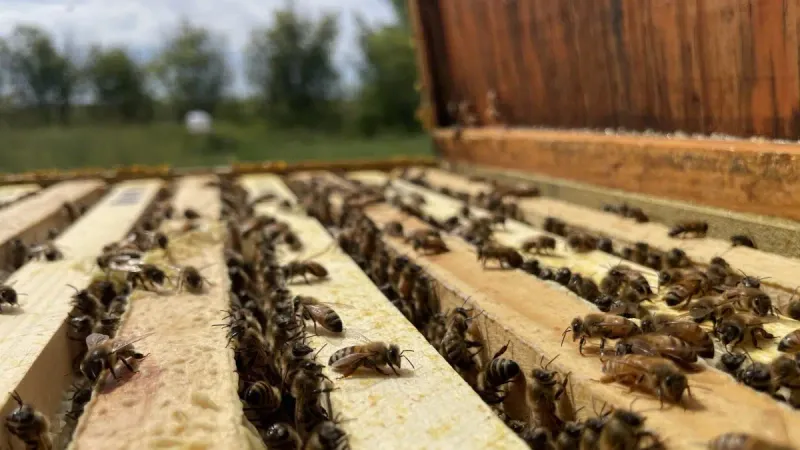 Beehive Air Conditioning