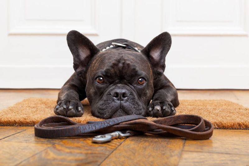 Using Harsh Punishment