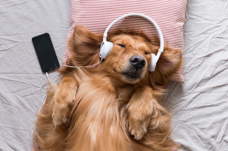 Listening To Music