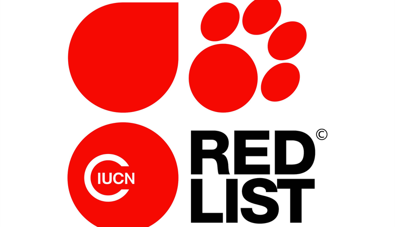 Conservationists Recommend Listing It As Vulnerable