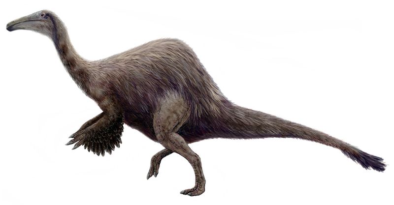 Deinocheirus