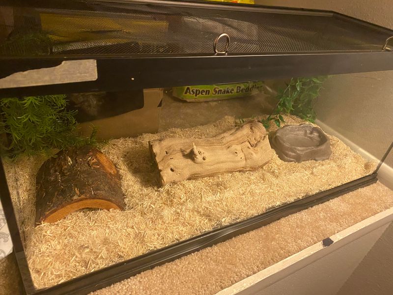 Choose The Right Substrate