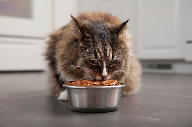 Share Mealtime Rituals