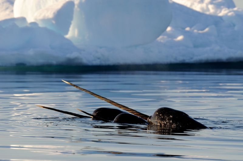 Living In The Harshest Waters