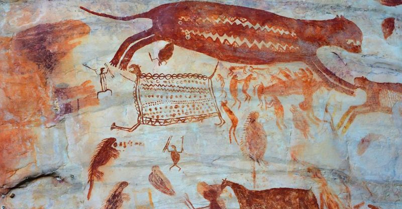 How The Art Challenges Our Understanding Of Human-Animal Coexistence