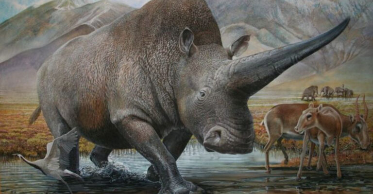Meet Elasmotherium, The Prehistoric Giant That Inspired The Mudhorn