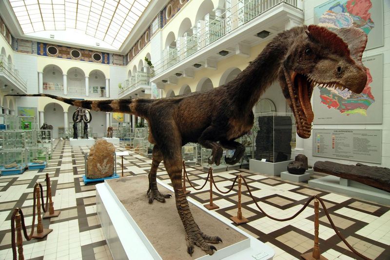 Size Matters – It Was Much Bigger Than Portrayed