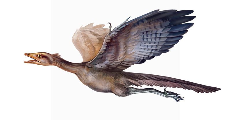 Flight Flexibility