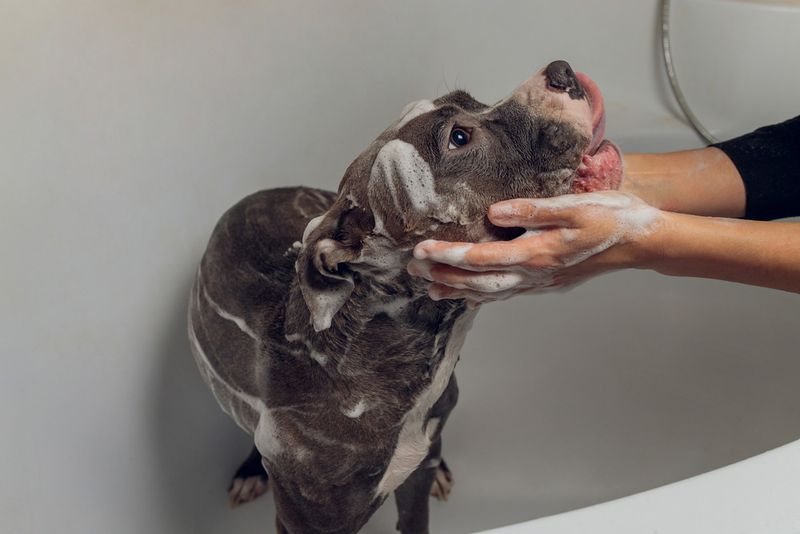 Mindful Grooming Practices