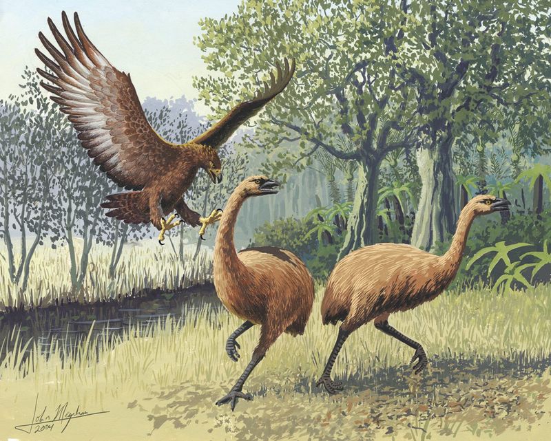 This Towering Herbivore Vanished After Humans Arrived