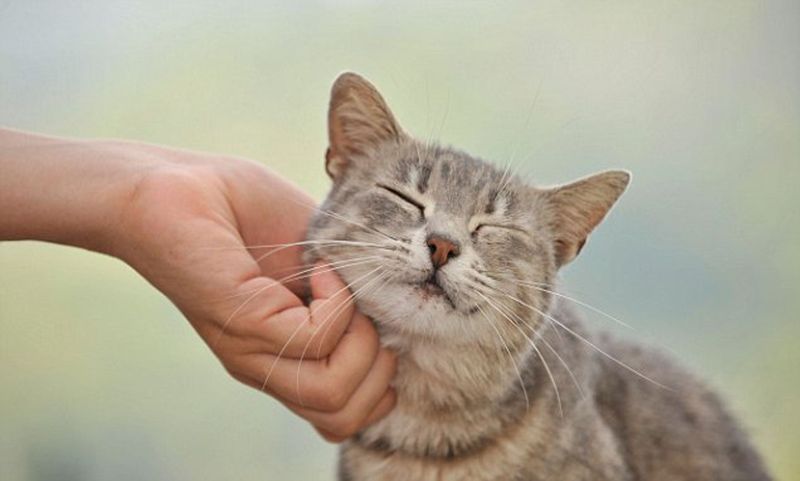 The Quality Of Your Touch