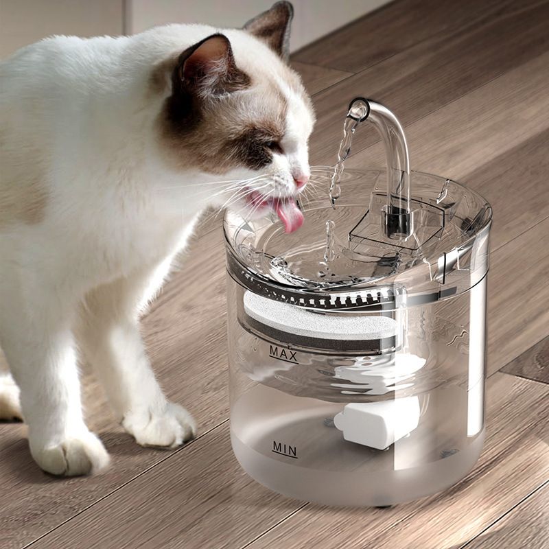 Upgrade To A Flowing Fountain