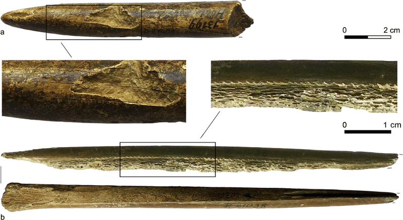 Insights Into Prehistoric Human Culture And Tool-Making