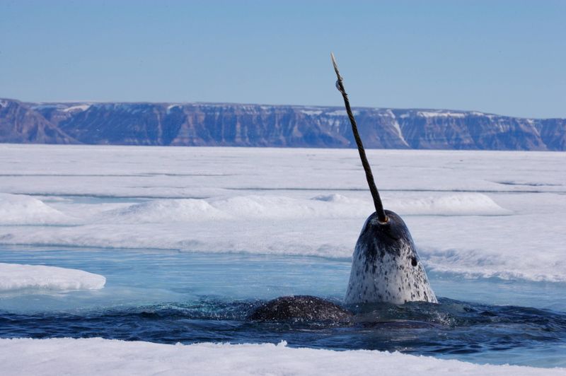 Climate Change Threats