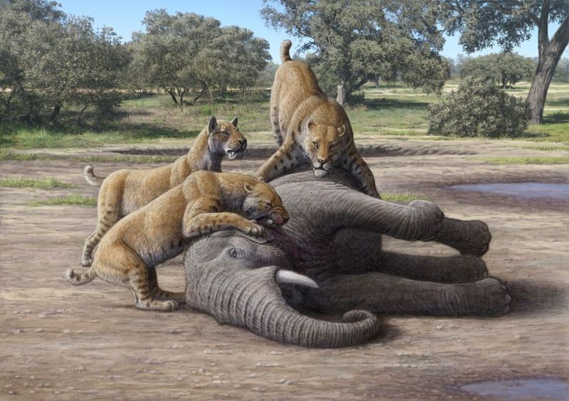 Specialized Megafauna Hunters