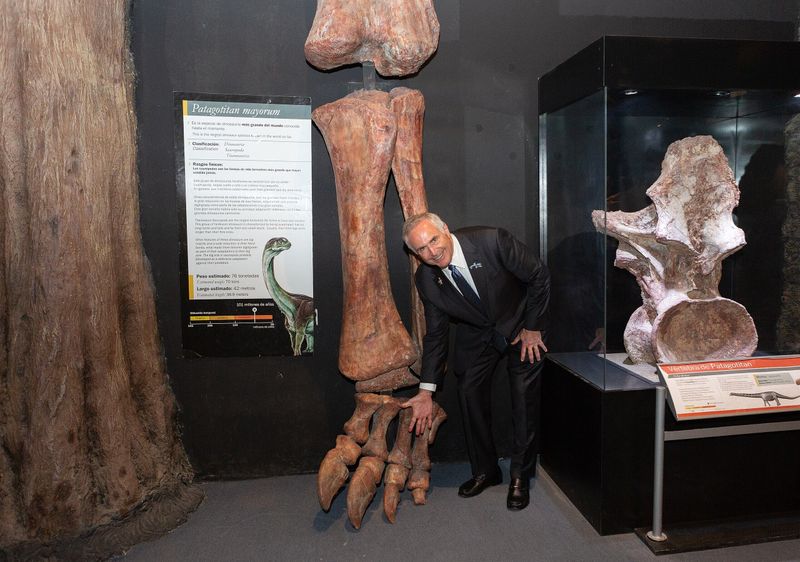 Engineering Marvels On Legs