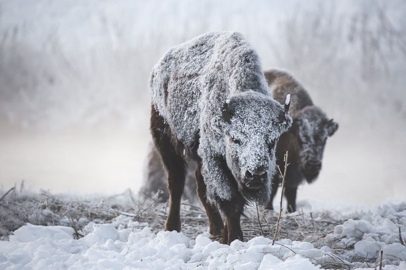 Adaptability To Extreme Weather