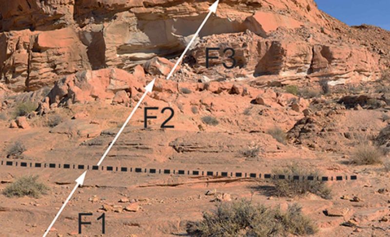 Oldest Rebbachisaur Fossil Found In Argentina